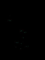 Glow in the dark! White Polo Wraps with Mummy Accent - Horse Sized - Set of 4