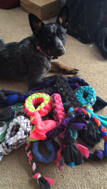Dog Toys - Pack of 3 - Randomly Chosen