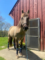 Kodiak’s Midnight Blue’s Polo Wraps - Horse Sized - Set of 4