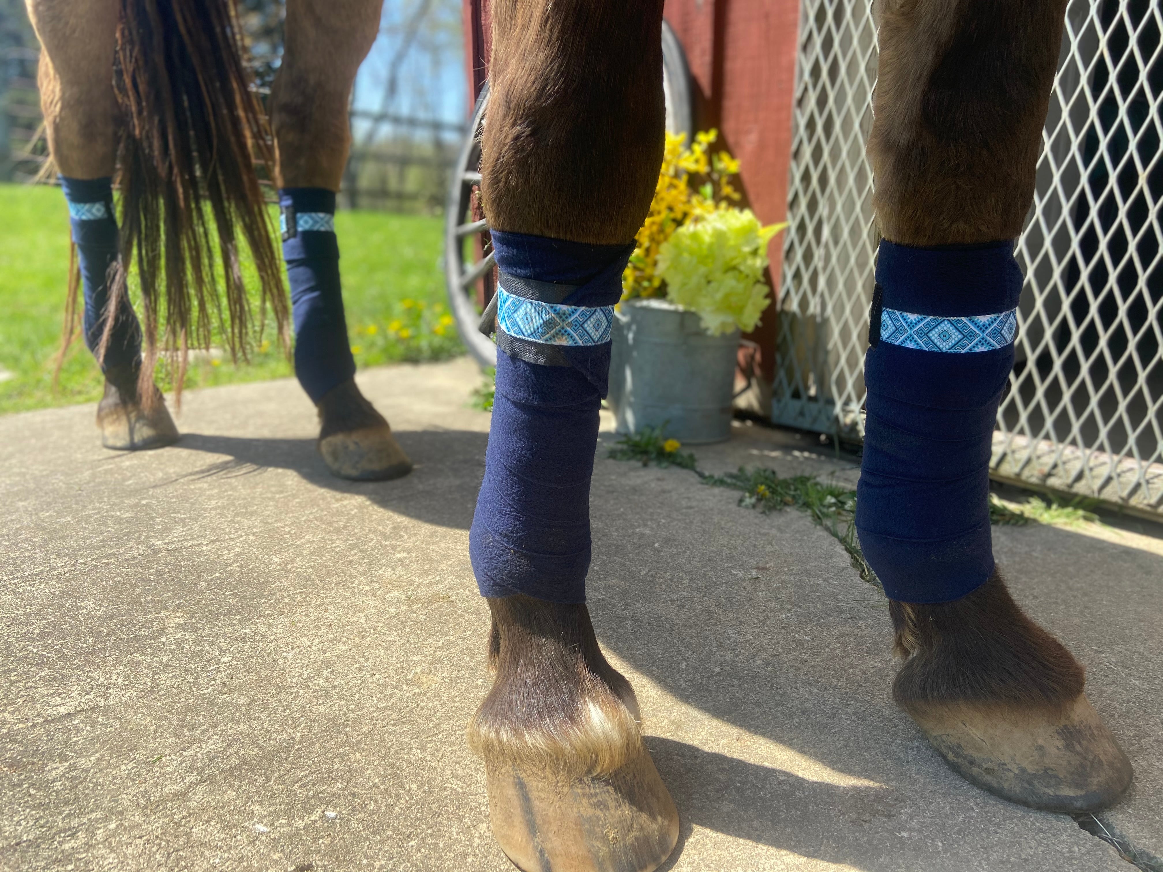 Kodiak’s Midnight Blue’s Polo Wraps - Horse Sized - Set of 4