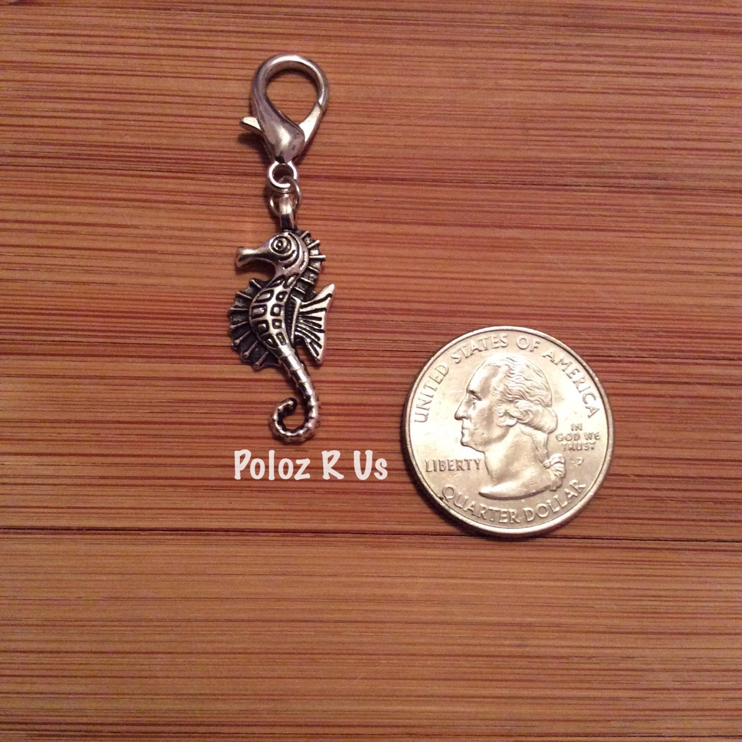 Bridle Charms