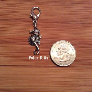 Bridle Charms